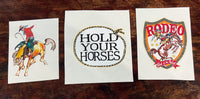 Cowgirl Decal Sticker 3 Pack - 8