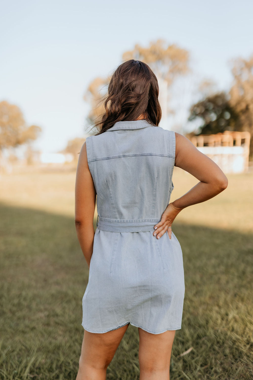 Dakota Dress - Denim